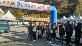 '밀양얼음골사과축제' 사전투표 체험 및 정치후원금 홍보 캠페인 실시