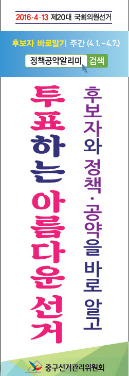 정책선거
