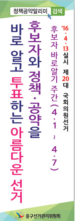 정책선거